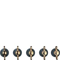 Набор из 5 ручек для электрических варочных поверхностей 5MP800A