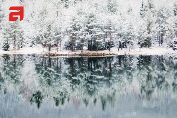 Технологии природы. Принцип работы холодильников ASKO Nordic Fresh